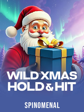 Wild Xmas - Hold & Hit